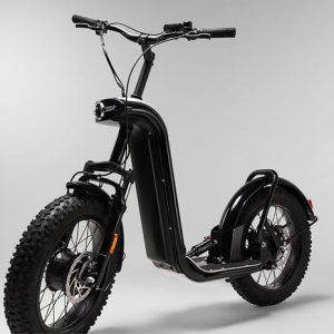 Trottinette électrique Tout-Terrain